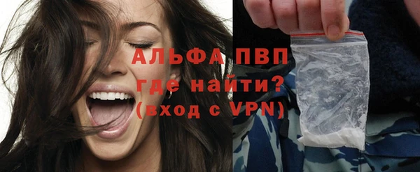 прущие грибы Бугульма