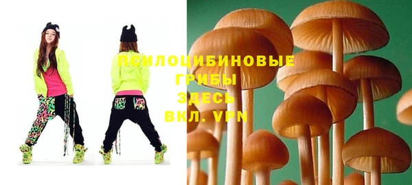 крисы Бородино