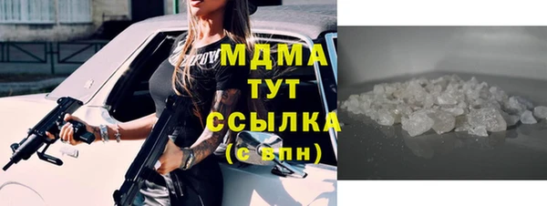 крисы Бородино