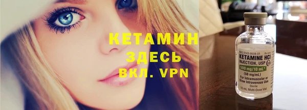 сатива Бронницы