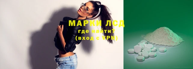 крисы Бородино