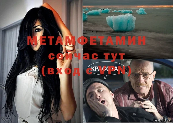 прущие грибы Богданович