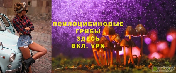 Альфа ПВП Богородицк