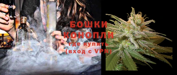 прущие грибы Бугульма