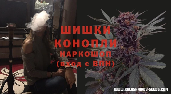 ешки Новозыбков