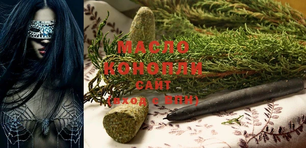 крисы Бородино