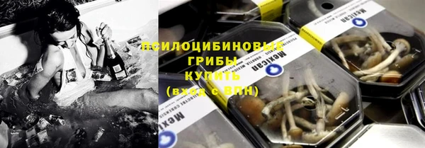 крисы Бородино