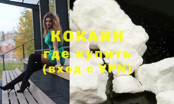 сатива Бронницы
