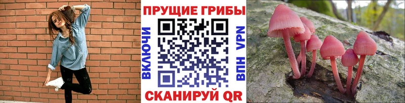 Галлюциногенные грибы прущие грибы  закладки  Шарыпово 